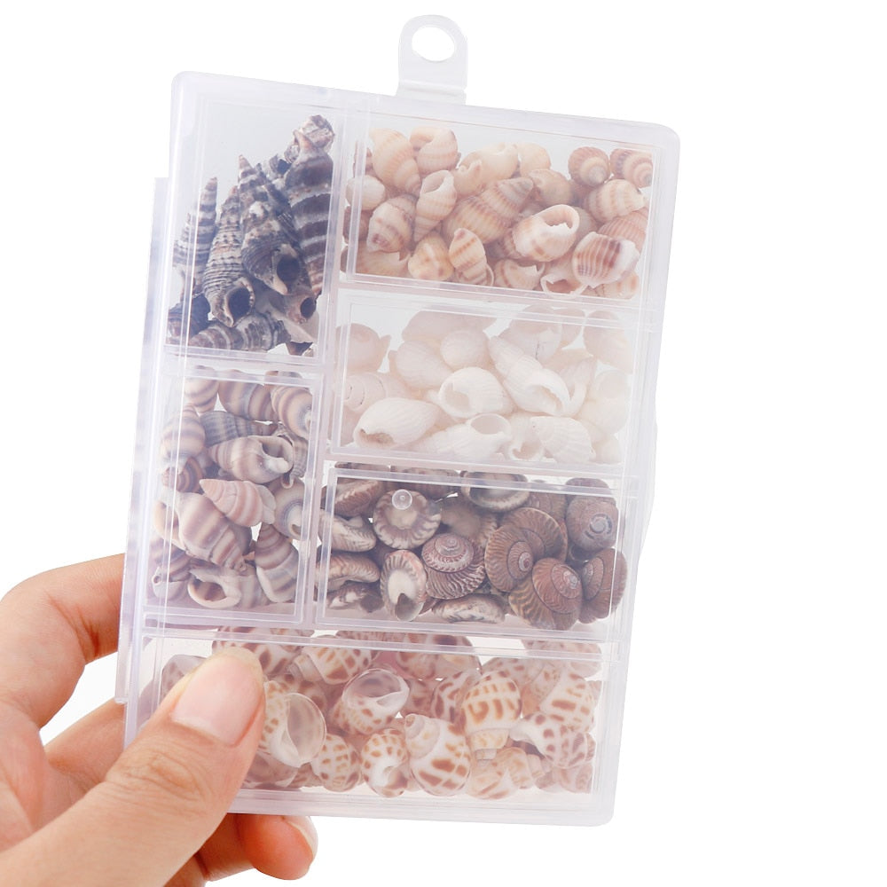 About 100Pcs/Box Natural Conch Shells Mini Conch Corn Screw Home Decoration DIY Aquarium Landscape Seashells Crafts/party Decor