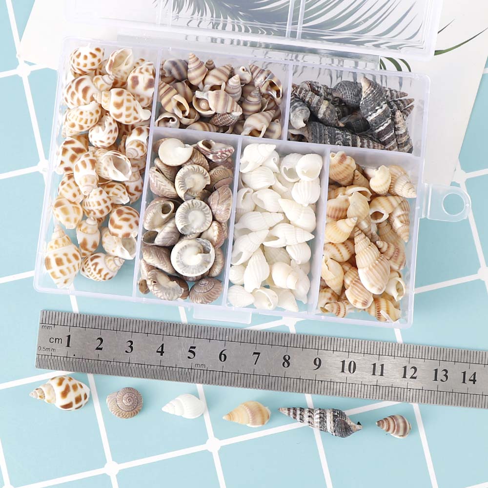 About 100Pcs/Box Natural Conch Shells Mini Conch Corn Screw Home Decoration DIY Aquarium Landscape Seashells Crafts/party Decor