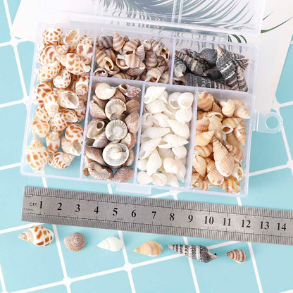 About 100Pcs/Box Natural Conch Shells Mini Conch Corn Screw Home Decoration DIY Aquarium Landscape Seashells Crafts/party Decor