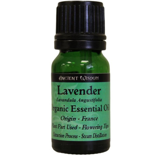 Lavender Organic Essential Oil - Shopy Max