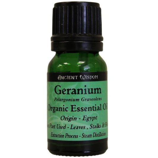 Geranium Organic Essential Oil - Shopy Max