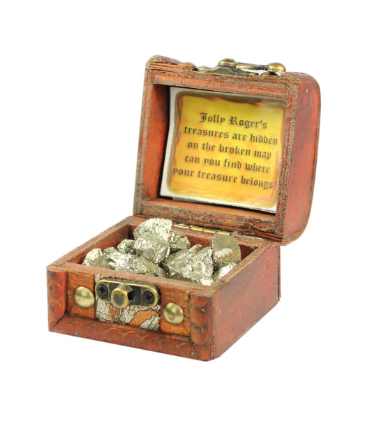 Pirate Treasure Box - Pyrite - Shopy Max