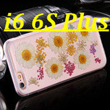 i6 /6s /Plus True Flower Stylish Clear Hard PC Case for iPhone 6 /6S for iPhone 6 Plus /6s Plus Real Flora Girl Romantic Cover - Shopy Max