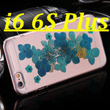 i6 /6s /Plus True Flower Stylish Clear Hard PC Case for iPhone 6 /6S for iPhone 6 Plus /6s Plus Real Flora Girl Romantic Cover - Shopy Max